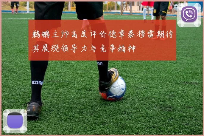 鹈鹕主帅高度评价德章泰穆雷期待其展现领导力与竞争精神